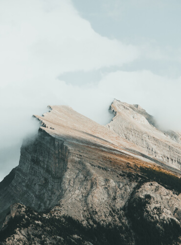 Family Member Directory